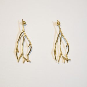 ARETES ALGA 1