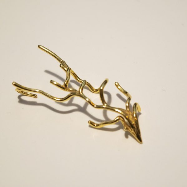 ALGA CLIMBER DERECHO